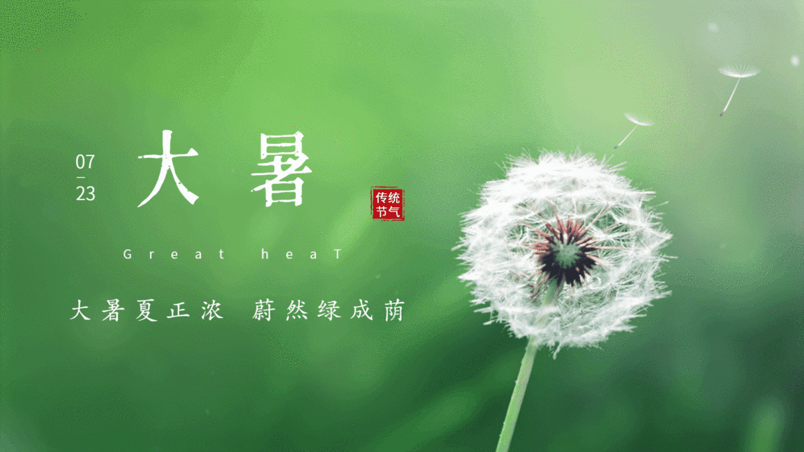 大暑二十四节气祝福实景横屏动图预览效果