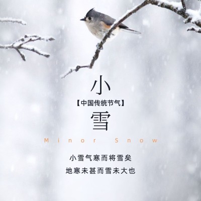 小雪节气祝福下雪天实景方形海报
