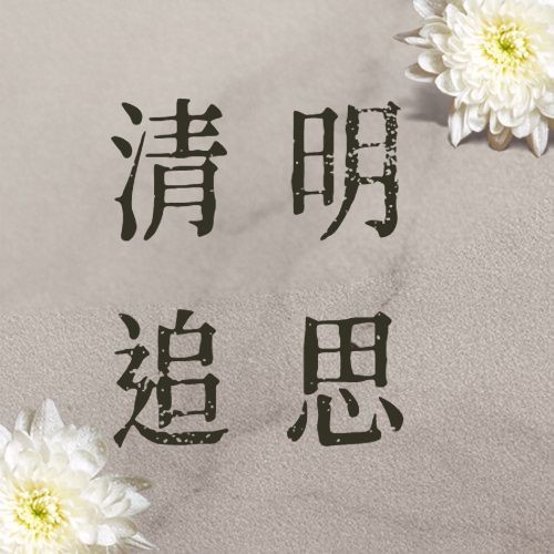 清明节追思悼念菊花实景公众号次图预览效果