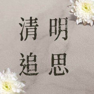 清明节追思悼念菊花实景公众号次图