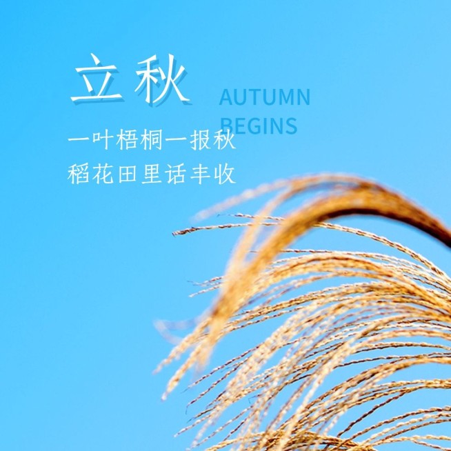 立秋节气祝福秋天实景天空方形海报预览效果