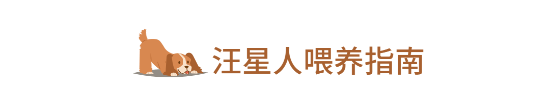 萌宠宠物可爱狗狗动态分割线预览效果