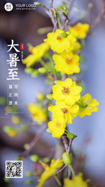 大暑节气祝福排版手机海报预览效果