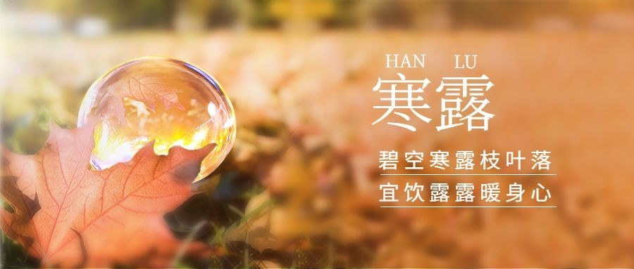 寒露节气祝福问候露珠枫叶实景首图