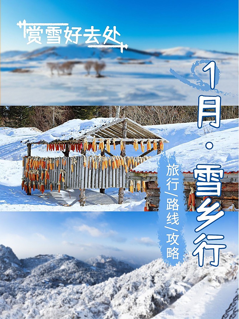 冬季旅游出行攻略指南实景手机海报