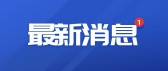 模板缩略图