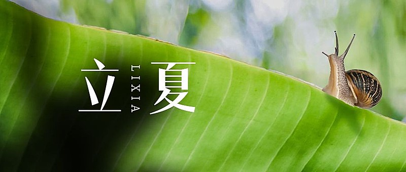 立夏节气祝福实景合成公众号首图