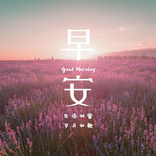 早安你好日签问候预览效果