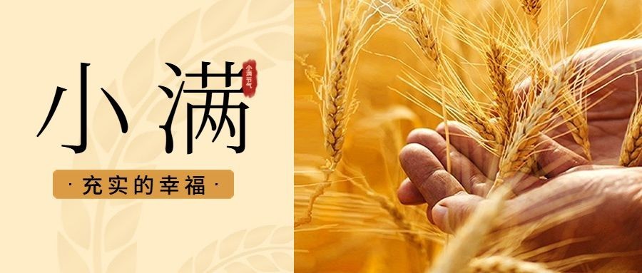 小满节气祝福排版公众号首图预览效果