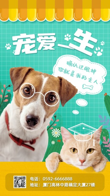 宠物服务品牌宣传实景竖版海报预览效果