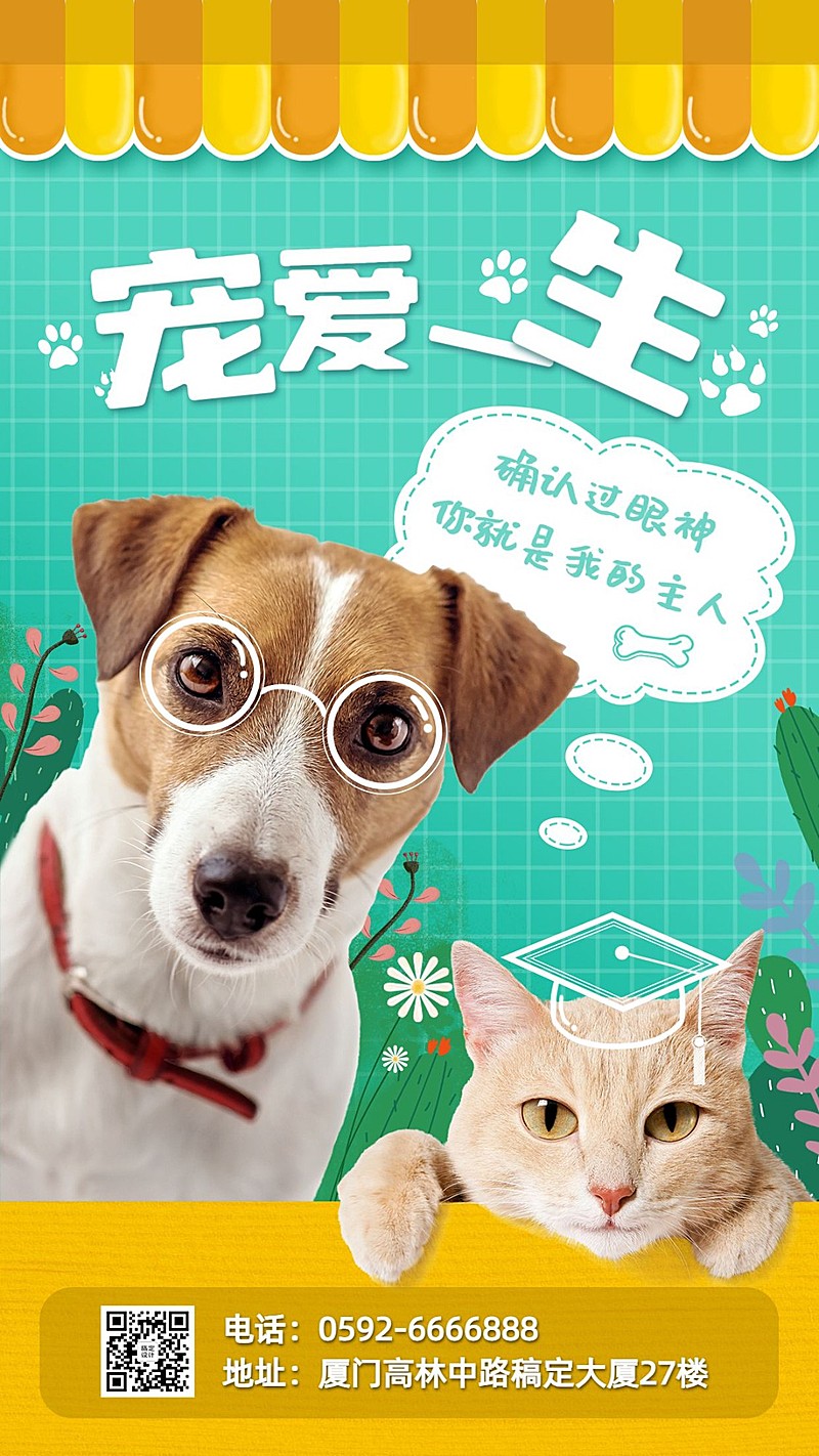 宠物服务品牌宣传实景竖版海报