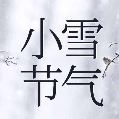 小雪节气祝福问候冬天实景公众号次图预览效果