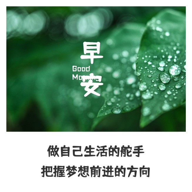 早安问候简约唯美方形海报预览效果