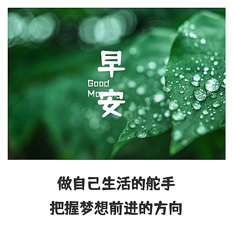 早安问候简约唯美方形海报