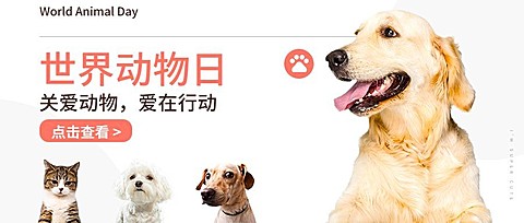 宠物关爱动物保护爱护公众号首图