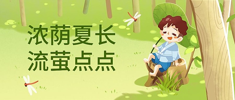 夏天绿植森林公众号首图