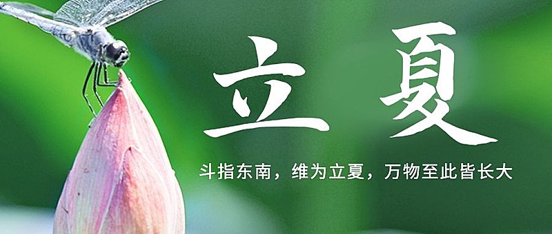 立夏节气祝福夏天蜻蜓公众号首图