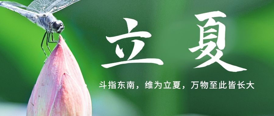 立夏节气祝福夏天蜻蜓公众号首图