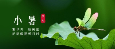 小暑节气祝福蜻蜓夏天公众号首图