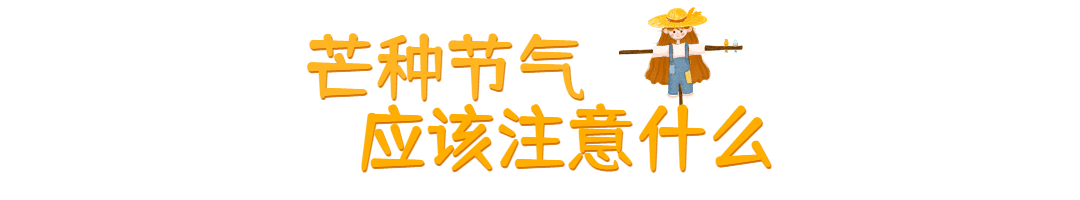 芒种节气动态文章标题稻草人预览效果