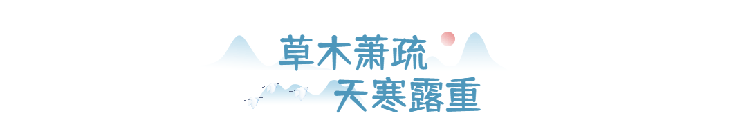 寒露节气飞鸟GIF动态分割线预览效果