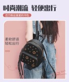 模板缩略图