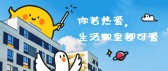 模板缩略图