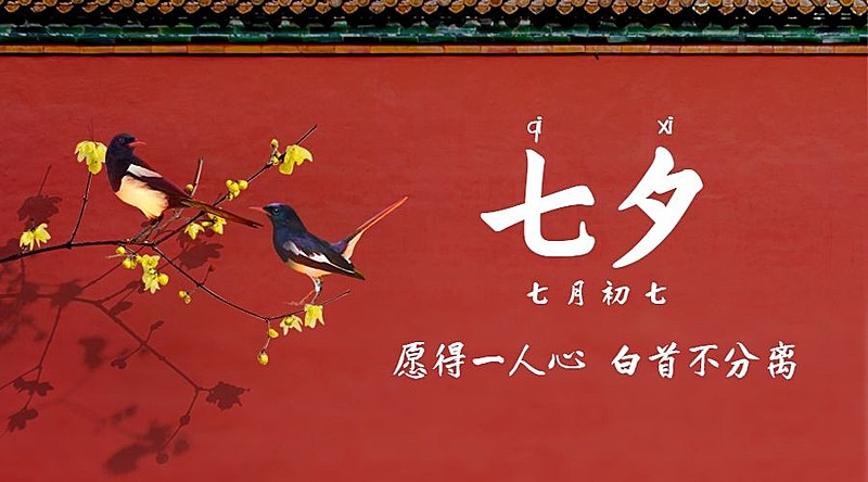 七夕情人节喜鹊红墙手绘横版海报