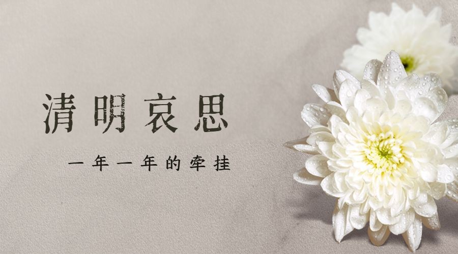 清明节追思悼念菊花实景横版海报预览效果