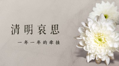 清明节追思悼念菊花实景横版海报