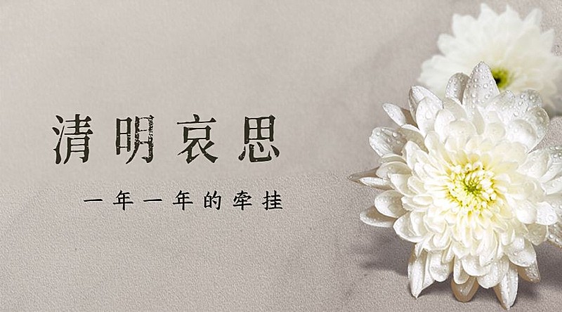 清明节追思悼念菊花实景横版海报