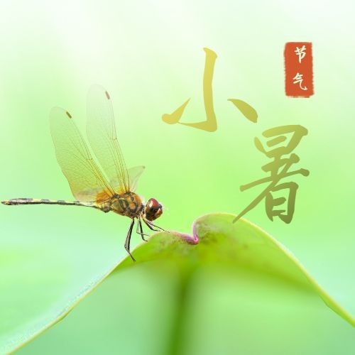 小暑节气祝福问候实景公众号次图预览效果