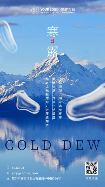 金融保险节气营销实景竖版海报预览效果