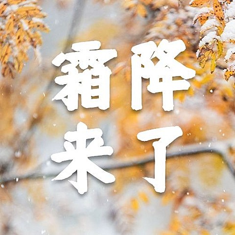 霜降节气祝福实景秋季公众号次图