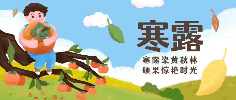 寒露节气柿子习俗手绘公众号首图预览效果