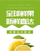 模板缩略图