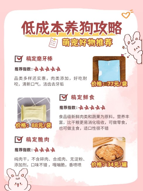 插画手帐风宠物攻略小红书配图预览效果