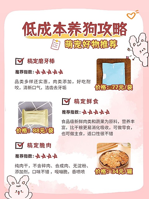 插画手帐风宠物攻略小红书配图