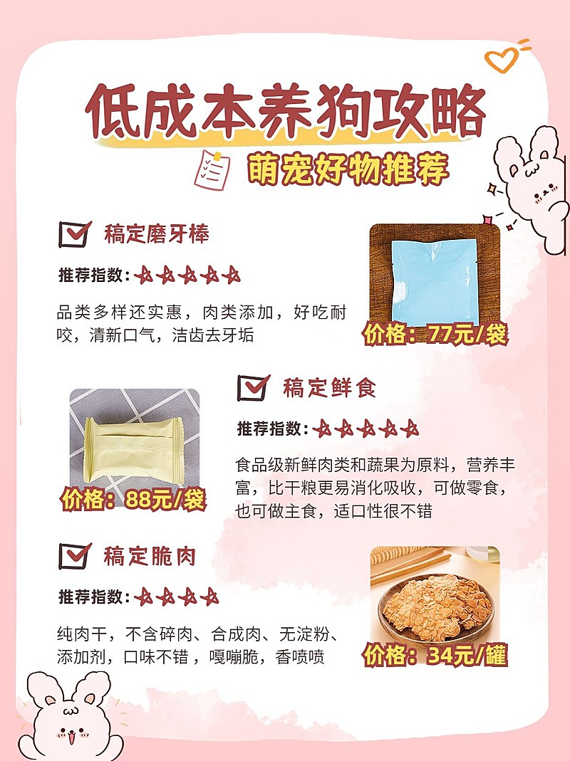 插画手帐风宠物攻略小红书配图