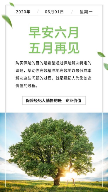 金融保险早安六月五月再见清新简约日签海报预览效果