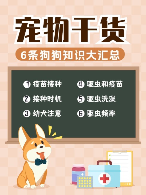 宠物知识科普小红书封面预览效果