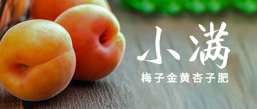 餐饮美食小满节气营销实景公众号首图预览效果