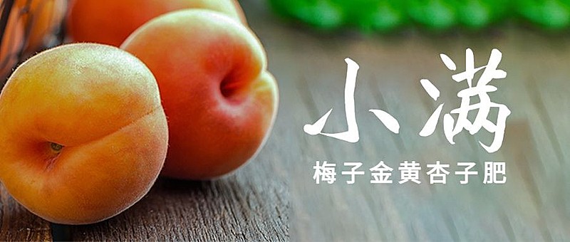 餐饮美食小满节气营销实景公众号首图