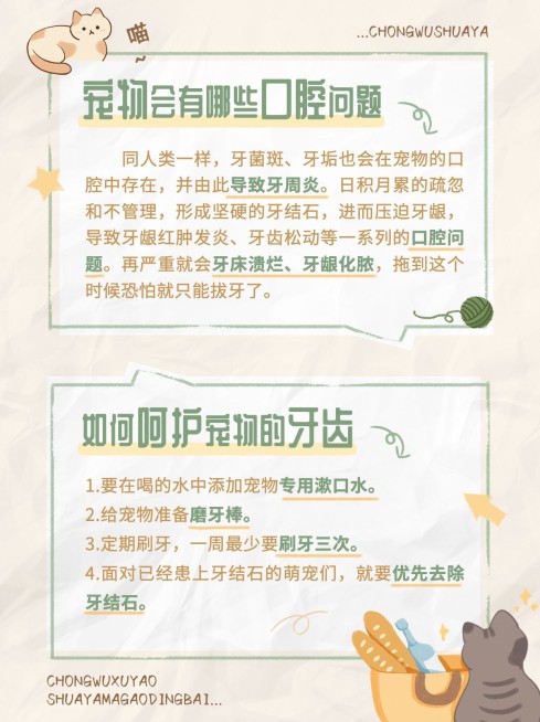 宠物知识科普小红书配图预览效果