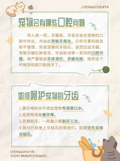 宠物知识科普小红书配图