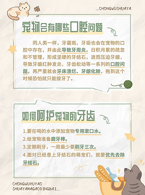 宠物知识科普小红书配图