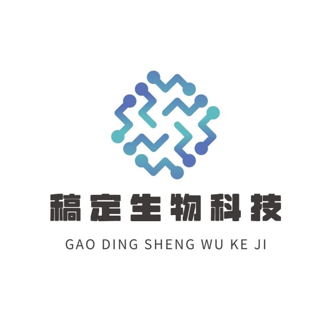 IT互联网信息公司LOGO设计预览效果