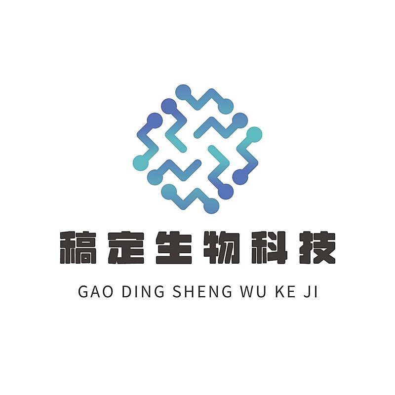 IT互联网信息公司LOGO设计