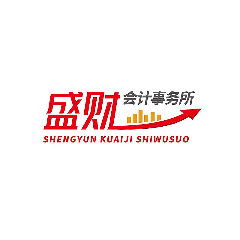 代理记账会计服务公司LOGO
