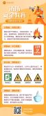 模板缩略图